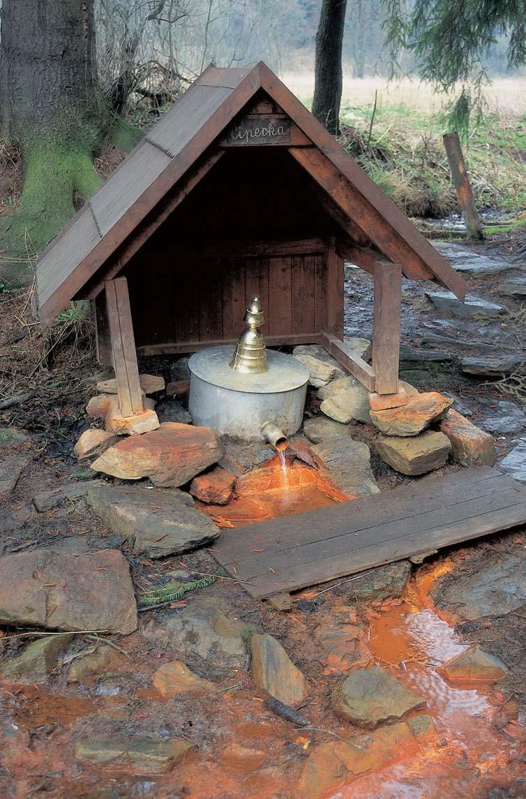 PlzeÀsko a Karlovarsko GEOLOGIE V vûr minerálního pramene v nivû Kosího (Kosového) potoka pfiibliïnû na zlomovém kontaktu málo metamorfovan ch amfibolitû s loïními polohami mramorû Lazurového vrchu