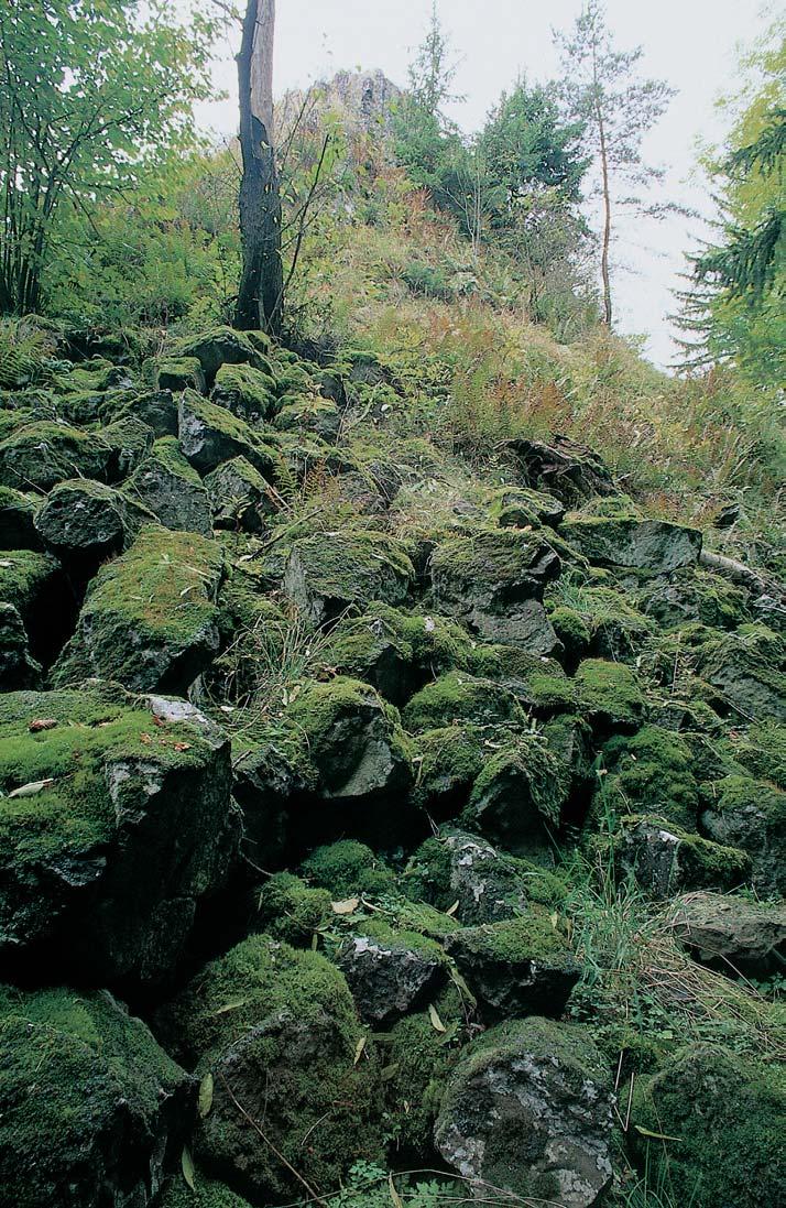 CHKO Slavkovsk les GEOLOGIE Skalní v choz, tvofien terciérním jemnozrnn m bazanitem s charakteristickou sloupcovou odluãností na svahu vrchu, tvofieného porfyrick m biotitick m granitem s dokonale