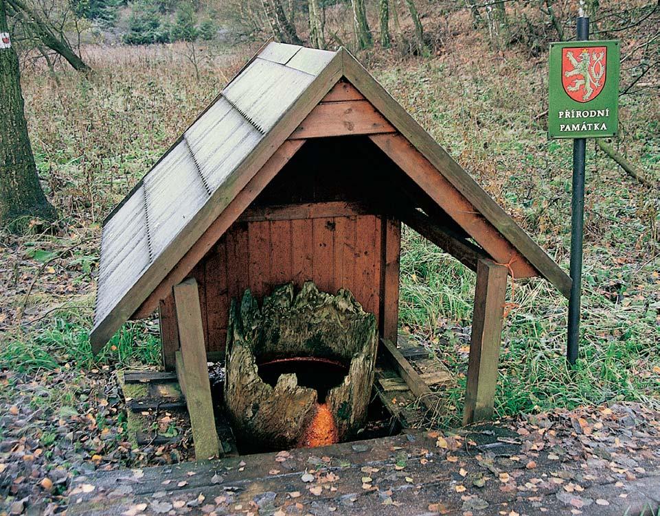 PlzeÀsko a Karlovarsko KoÀsk pramen, souãasná úprava okolí v vûru. V vûr minerálního Chotûnovského pramene pfied zastfie ením.