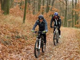 Stavebně je vedena od Ketkovického výletiště Milošov po obslužné komunikaci Lesů ČR (asfalt,poslední 3 km totálně zničený