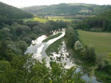 Dolní Kounice, Pohořelice, Židlochovice a pochopitelně Brno.