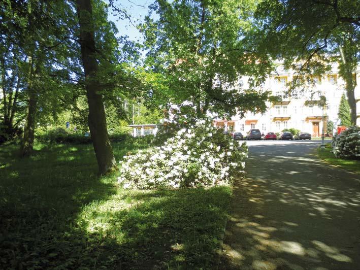 strana 6 Františkolázeňské listy č. 6, 2018 Do tajů mluvních dovedností. Setkávám se s řadou vynikajících osobností, ohromných kapacit z různých oborů, které neumí prezentovat a vědomosti předat.