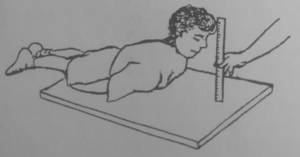 Síla a vytrvalost extenzorů trupu Test: Záklon v lehu na břiše (v originále Trunk Lift ) Předmět: Zvednout tělo z podložky pomocí zádových svalů a vydržet v dané poloze po dobu měření.