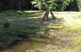 větším než 80 cm ve výšce 130 cm nad zemí bez nutného povolení příslušného orgánu ochrany přírody.