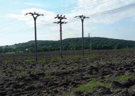 Tyto pozemky původně splňovaly charakteristické etologicko-ekologické nároky společenstev zde se přirozeně vyskytujících druhů volně žijících ptáků a dalších živočichů, včetně druhů patřících mezi