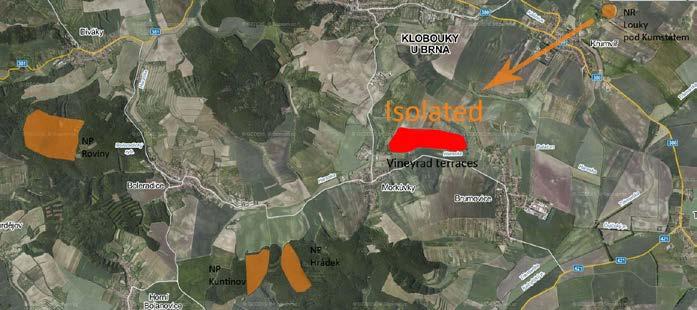 Obr.2: Letecký snímek krajinné mozaiky v okolí lokality u Morkůvek (červeně vyznačena výzkumná plocha) ZÁVĚR Z předběžných analýz jsme zjistili, že viniční terasy dokážou při působení a zachování