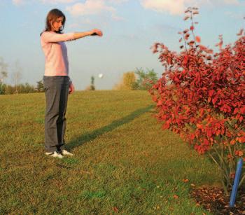 Spustit, nebo umístit? I když přesně známe původní místo (například při hře provizorního míče), ale pravidla říkají co nejblíže místu, pak se míč spouští.