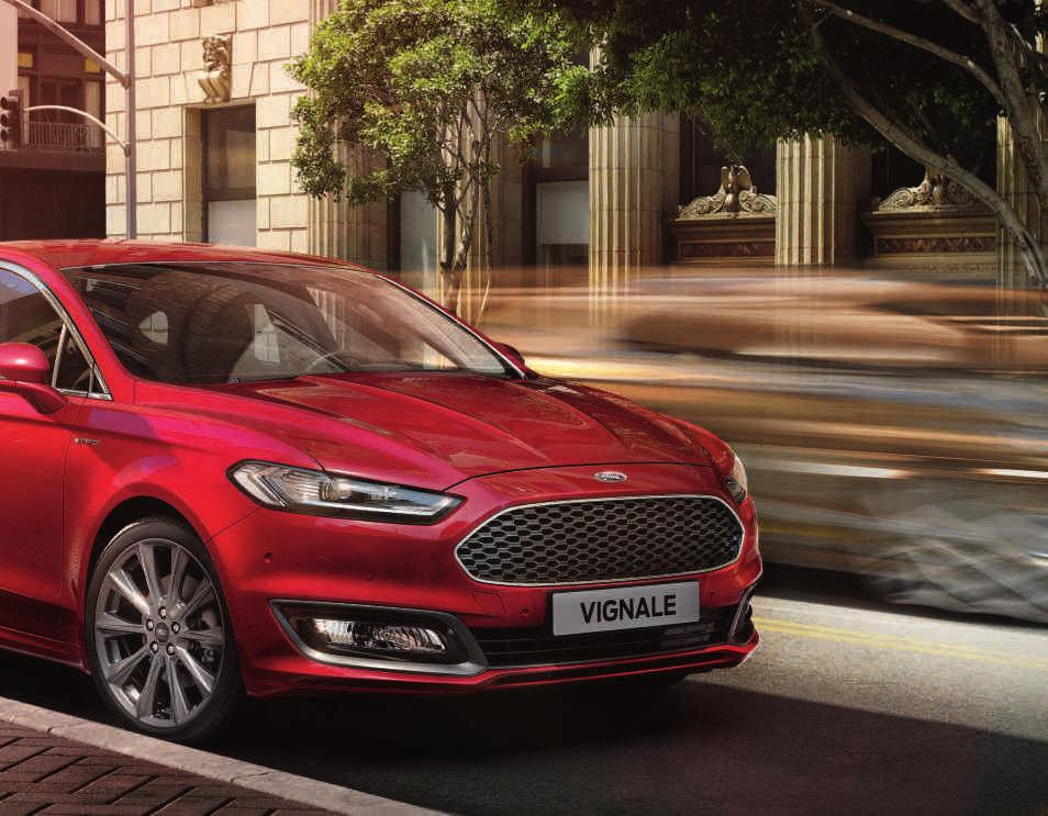 VIGNALE