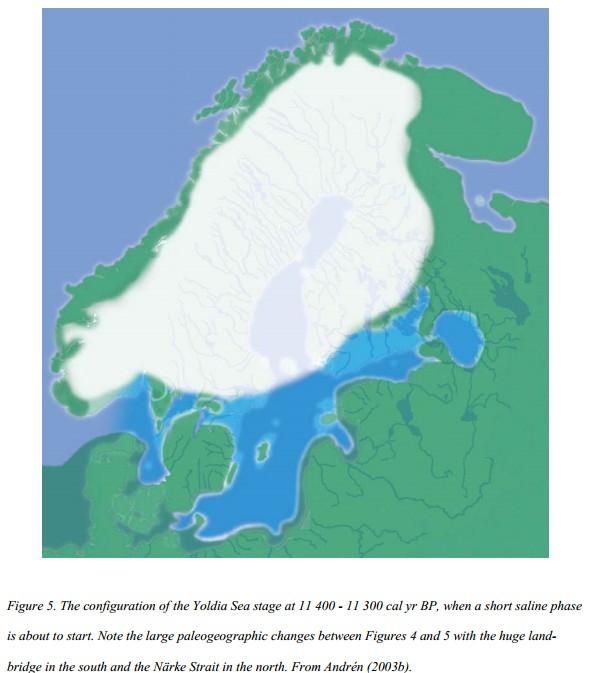 Regionální klimatický vývoj holocénu: deglaciace Evropy Moře Yoldia (The Yoldia Sea) - krátkodobé, asi 800 let