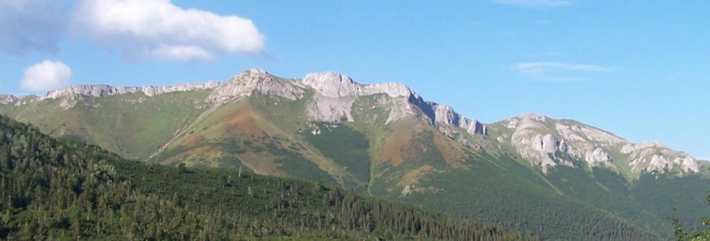 Ze severu Belianské Tatry ostře ohraničuje Podtatranská brázda. Jiţní hranici s Vysokými Tatrami tvoří Kopské sedlo. Na západě je hlavní hřeben ukončen vrchem Muráň (1 890 m 
