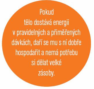 organických látek na jednodušší), nebo uvolňuje (štěpení složitých organických látek na jednodušší). Energii organismus využívá k udržení stálé teploty, k činnosti orgánů, ke svalové práci a k růstu.