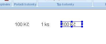 vepíšeme. Nyní vybereme kolonku kde budeme vepisovat částku, v horním menu vybereme Nastavení kolonky a kolonku pojmenujeme např.