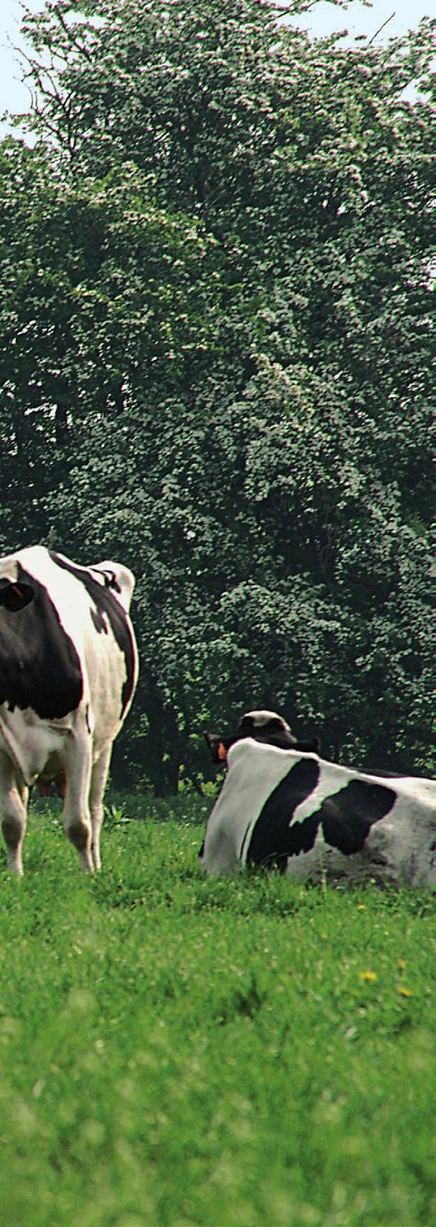 RW-SW Řada BALIČKY ZNAČKY KUHN DOKONALÉ BALENÍ BALÍKŮ VYSOKÁ KVALITA BALENÍ Pro zajištění vysoké kvality balení balíků je nutné brát v potaz všechny aspekty, které tento proces ovlivní.