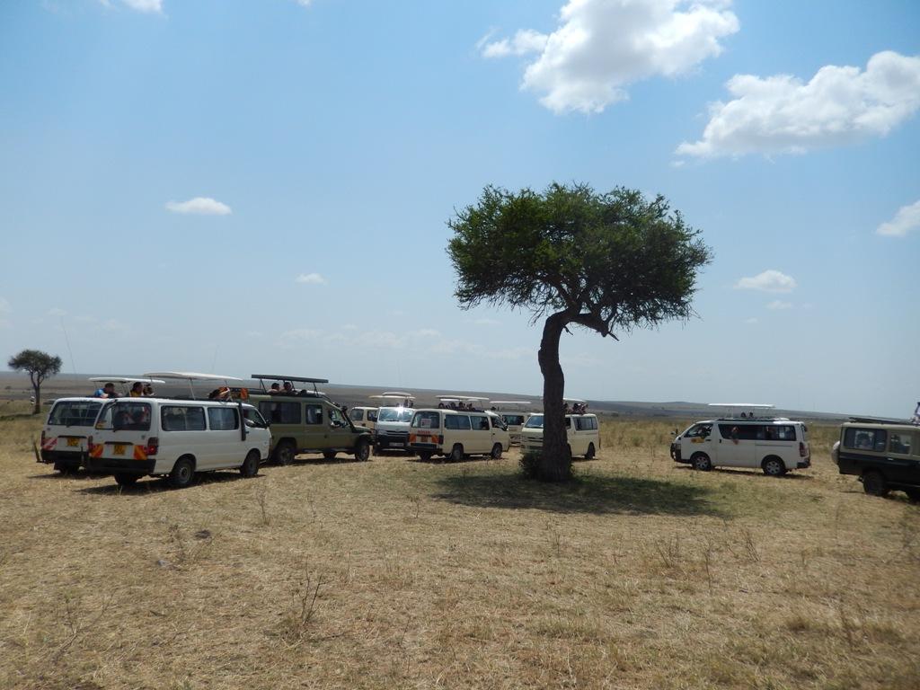 Existuje několik typů safari, ale nejčastěji je odlišuje pouze způsob dopravy po rezervaci, popřípadě typ ubytování. V článku jsou popsány dva nejběžnější typy.