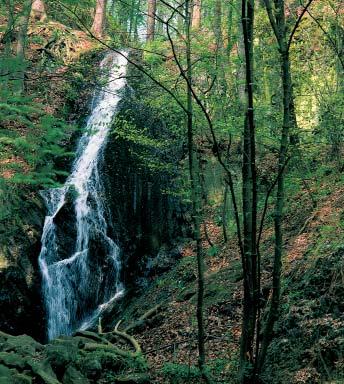 Ústecko GEOLOGIE Údolí se vytvofiilo na okrajovém svahu hrástû âeského stfiedohofií hloubkovou erozí malého vodního toku, která byla umocnûna postupn m vyklenováním vulkanického pohofií (antecedentní