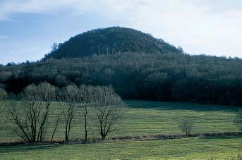 Boreã u Lovosic, okres Litomûfiice V mûra: 8,66 ha 350 446 m Vyhlá eno v roce 95 Klasická lokalita ventarol, v ronû teplého vlhkého vzduchu v zimním období z horních, zãásti umûle roz ífien ch