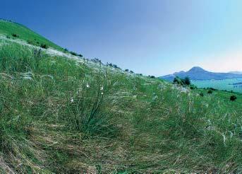 Ústecko GEOLOGIE PÛvodnû podpovrchové tûleso je tvofieno ãediãovou horninou olivinick m nefelinitem. Bylo obnaïeno odnosem okolních mûkãích hornin svrchního a stfiedního turonu.