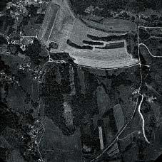 59 BABINSKÉ