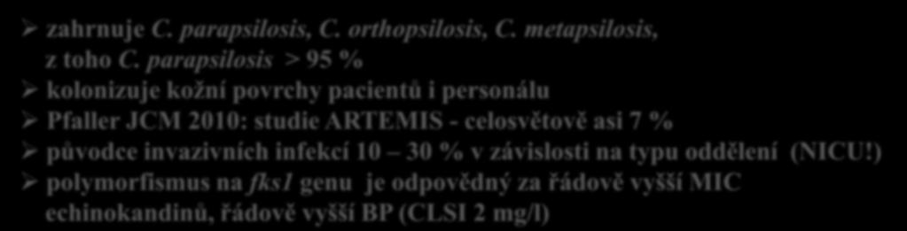 parapsilosis > 95 % kolonizuje kožní povrchy pacientů