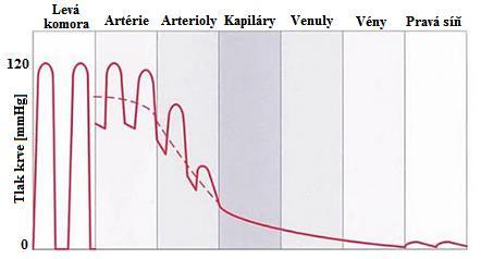 8 Tlak krve (plná čára) a střední tlak krve (přerušovaná