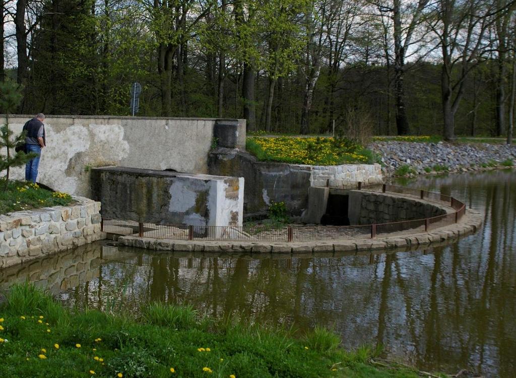 Domažlice) Rybník Dvořiště na