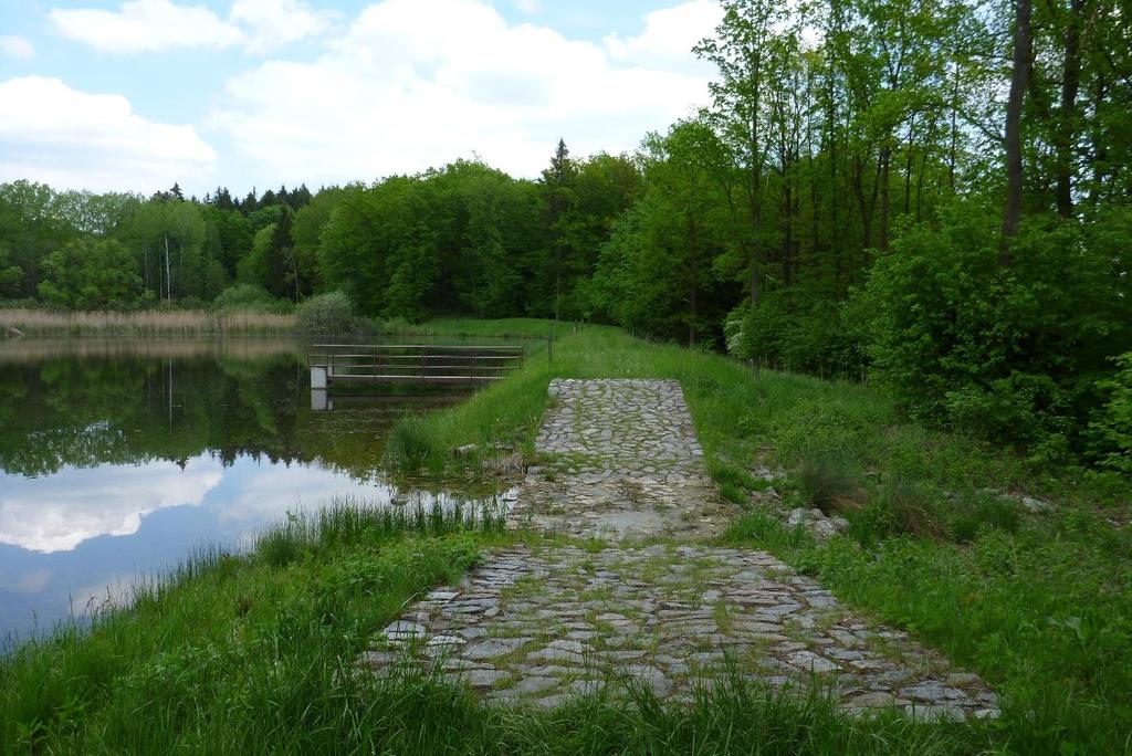 Jičín) Hluboký rybník na potoku Dubovec u