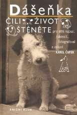 Soubor apokryfů Kniha apokryfů (1945; apokryfem se rozumí text zpracovávající neobvyklým, často provokujícím způsobem nějaký obecně známý příběh; Čapkova kniha zahrnuje texty vzniklé ve 20. 30.