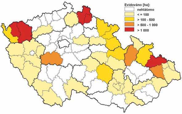 damage to stands by drought in 2004 Obr.