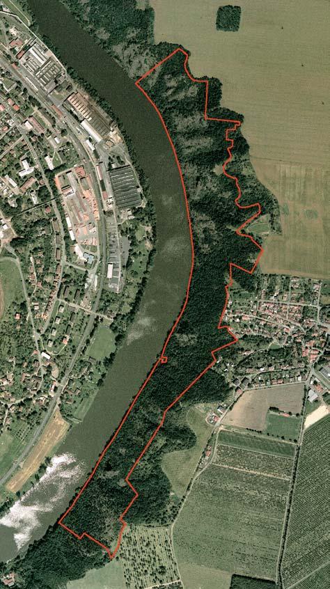 Stfiední âechy