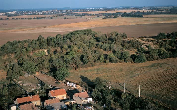 Stfiední âechy GEOLOGIE Horninové podloïí tvofií prekambrické (neoproterozoické) pevné bfiidlice a buliïníky, které jsou odkryty ve starém lomu na severní stranû chránûného území.