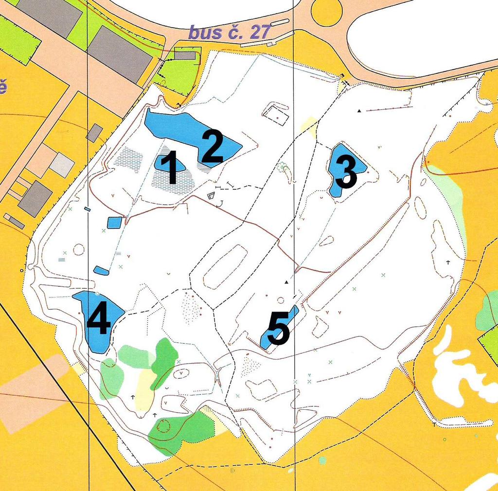 Obr. 1 podrobná mapka lokality autor J. Daněk 2009. Číselné označení tůní má vztah ke kapitolám 2.1.4. a 3.