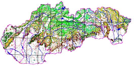 Porovnanie lesnatosti vybraných štátov (k roku 2005, v %) Maďarsko 21,5 Poľsko 30 Česko 34,3 Slovensko 40,5 EURÓPA Rakúsko 44,3 46,7 v % Druhové zloženie lesov V druhovom zložení lesov pretrváva