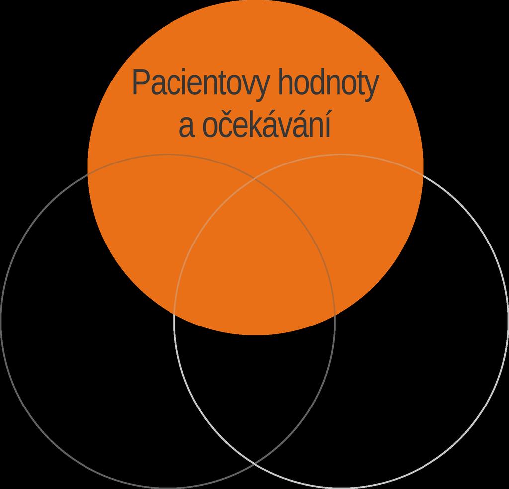 PACIENTOVY PREFERENCE pacient se sebou a svým rozhodnutím žije celý život právní aspekty Úmluva o biomedicíně informovaný souhlas individuální zkušenost