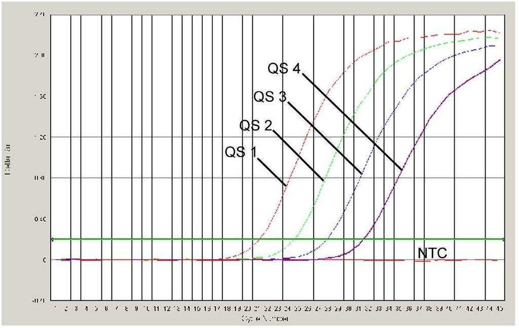 Obr. 23: Prkaz Kvantifikaních standard (VZV LC/TM QS 1-4) detekcí fluorescenního signálu FAM (ABI