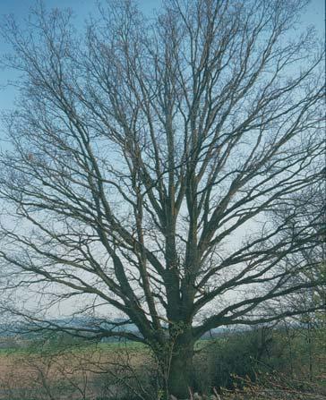 zemědělských pozemcích 900 m