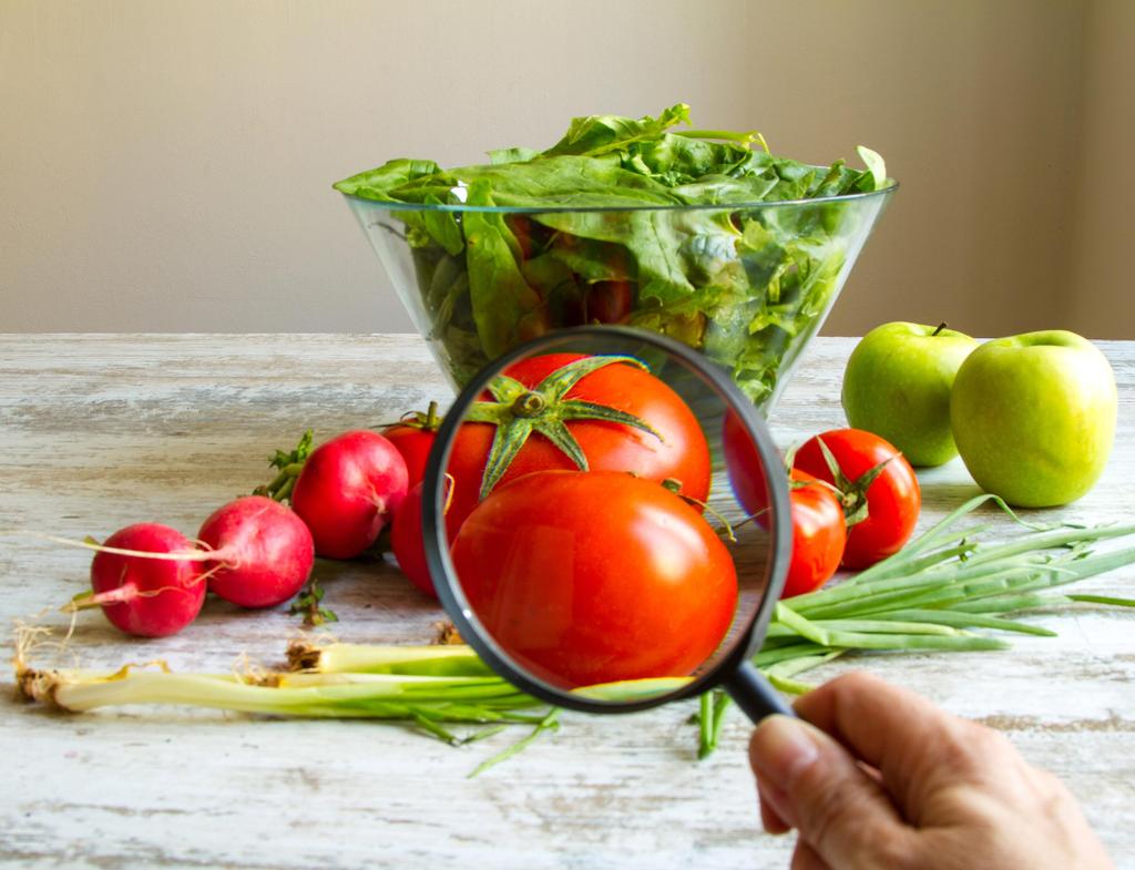 Budoucnost českého potravinářství POTRAVINY PŘÍZNIVÉ PRO LIDSKÉ ZDRAVÍ, CHUTNÉ A FINANČNĚ ODPOVÍDAJÍCÍ REFORMULACE