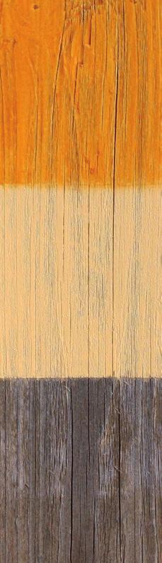 Dřevo zbavte zbytků starých nátěrů a olupujících se vrstev zvětralého dřeva a přebruste jemným smirkovým papírem. Jak na to? Rychlé a snadné řešení nabízí systém FORTEKRYL oživlé dřevo.