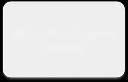 Multidisciplinární přístup Expert pouze v jedné oblasti Nemá expertní znalosti,
