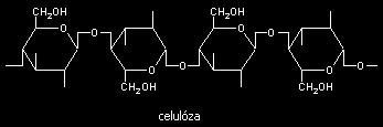 3.1.1 Celulóza je z hlediska množství nejdůležitější přírodní látkou. Je značně rozšířena a dodává stěnám rostlinných buněk pevnost.