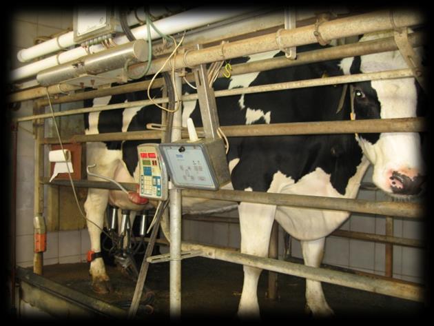 Z pohledu nástupu a výstupu krav na dojicí stání jsou v chovech používány systémy manuálního, poloautomatické nebo plně automatické ovládání (obsluha, automatický proces spojený s automatickým