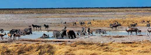46 Afrika Napajedlo v NP Etosha, Namibie TO NEJLEPŠÍ Z AFRIKY TANZANIE-MALAWI-ZAMBIE-ZIMBABWE-BOTSWANA-NAMIBIE-JAR Zanzibar relaxace a koupání na plážích Indického oceánu, Namibská poušť gigantické