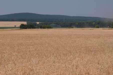 ZD Bulhary (okres Břeclav): Cca 800 ha z.p., rostlinná a živočišná výroba Kukuřičná výrobní oblast, 9.