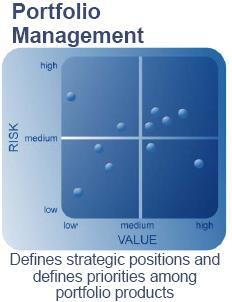 Portfolio Management Efektivní portfolio musí průběžně reagovat na organizační či strukturální změny