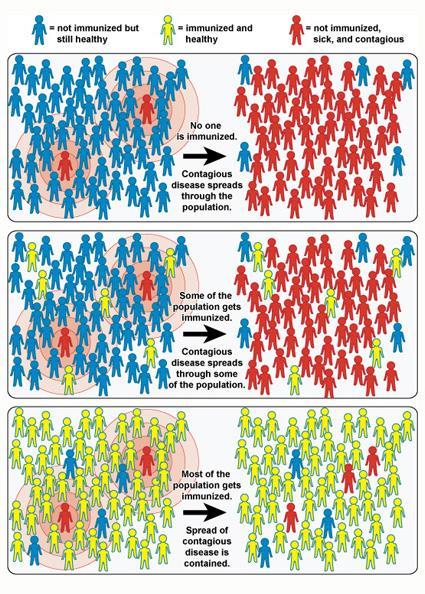 Stádní imunita Elimination of HPV 16, 18, 6, and 11 is possible if 80% coverage in girls and boys is reached Diane Harperová: Za situace, kdy 90 % žen bude