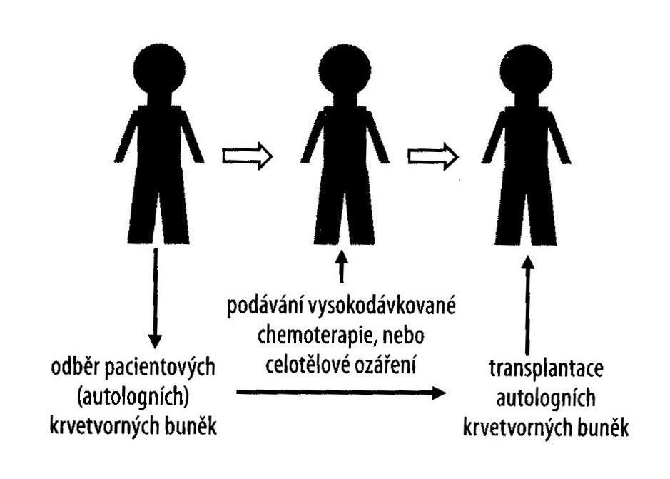 Příloha č.