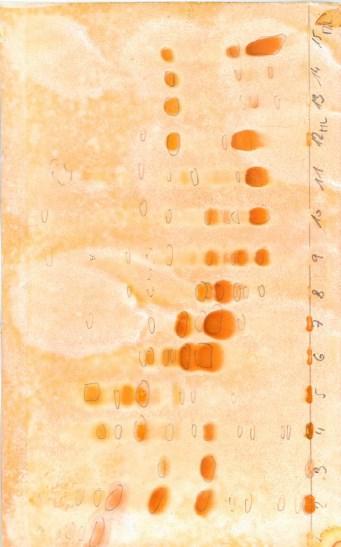 4.3.4 Kontrolní tenkovrstvá chromatografie Při vyvíjení kontrolních TLC bylo použito 6 různých vyvíjecích soustav s rostoucí polaritou (Tab. 8).