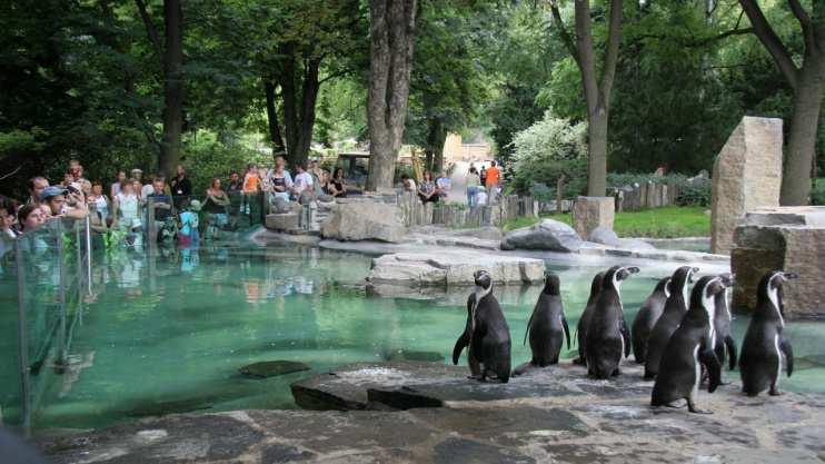 4. Zoologická zahrada dospělí 200 korun, studenti 150