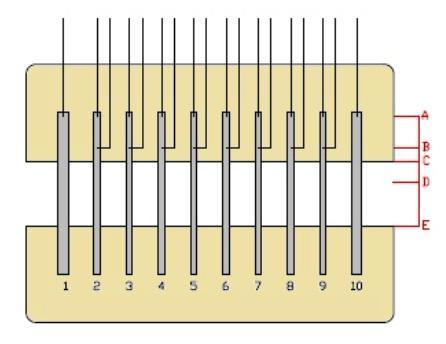 Obrázek 7.1 Obecné schéma použité elektrody [8] Obrázek 7.