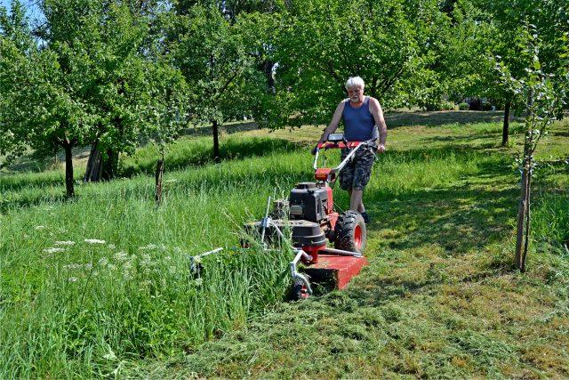 Výšku strniště určuje výškově nastavitelná náprava. Veškerá travní hmota je pod tímto dvounožovým rotačním mulčovačem rozdrcena na malé kousky. Pokud budete mulčovat krát ročně, nemusíte nic hrabat.