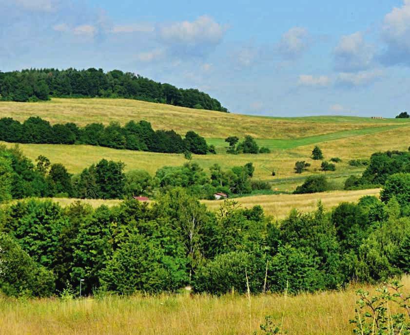 Ekologické zemědělství Program rozvoje venkova 2014 2020 Trvalé travní porosty Vydalo Ministerstvo zemědělství